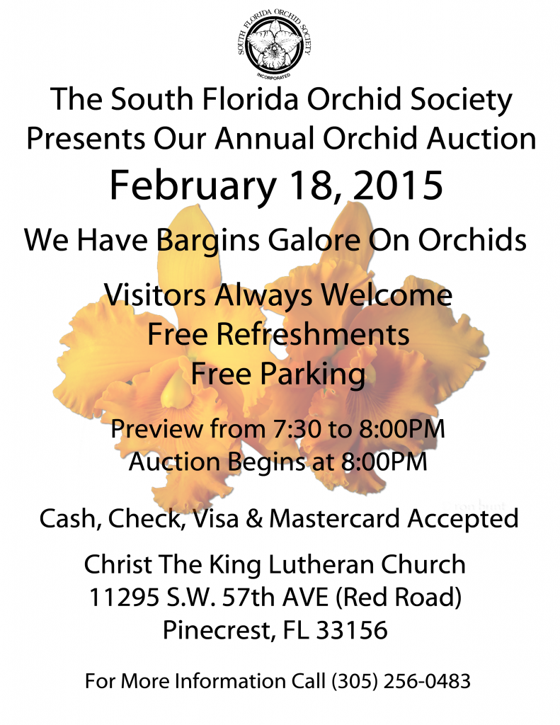 2015 SFOS Auction Flyer