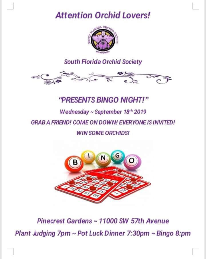 Bingo Night