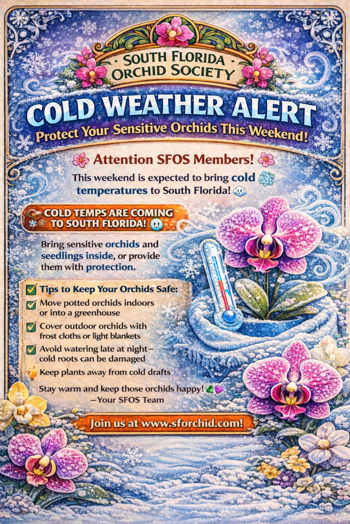 Cold weather alert graphic